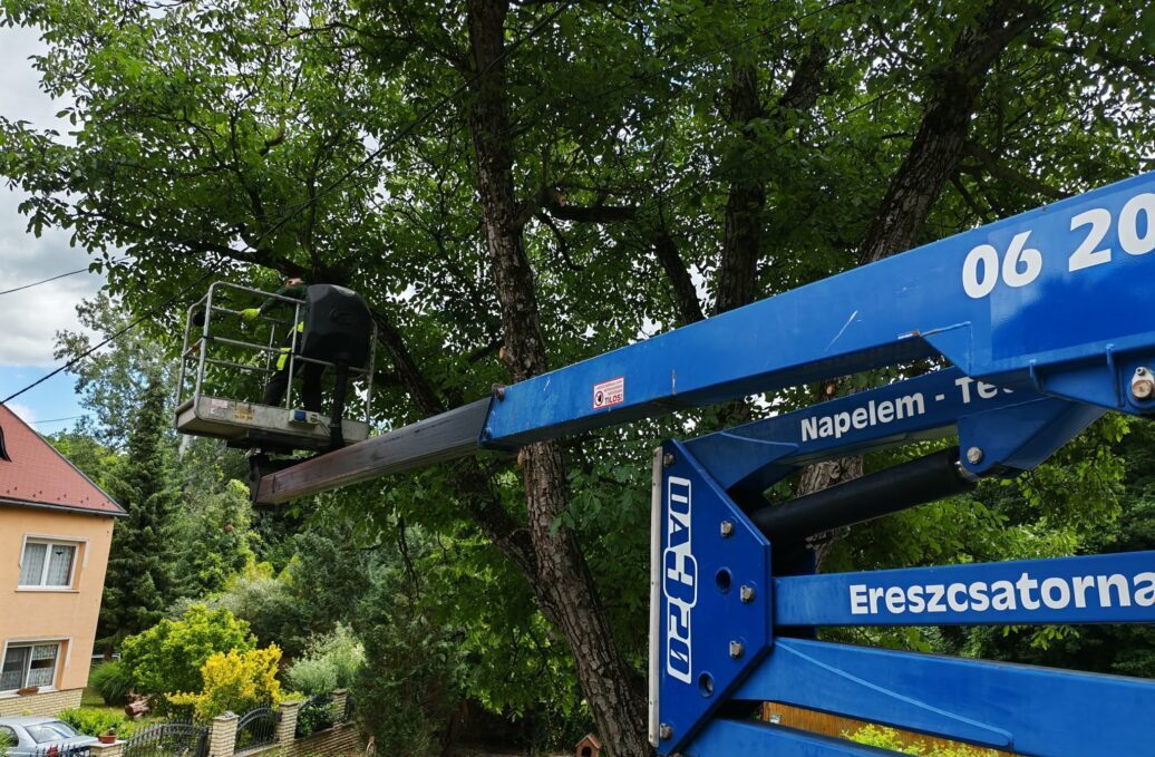 Magas fák biztonságos kivágása emelőkosaras autóval